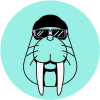 Walrus